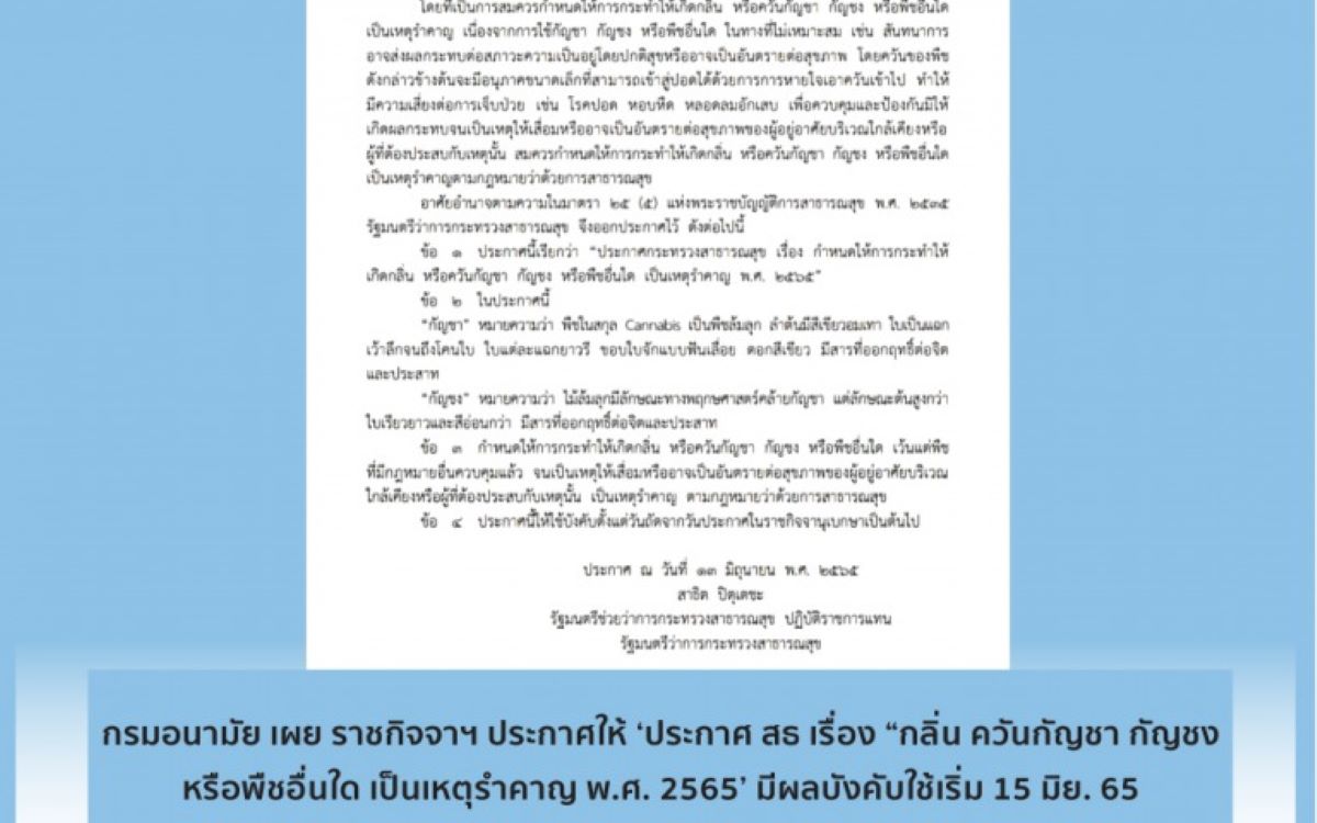 ประกาศกัญชา15062022
