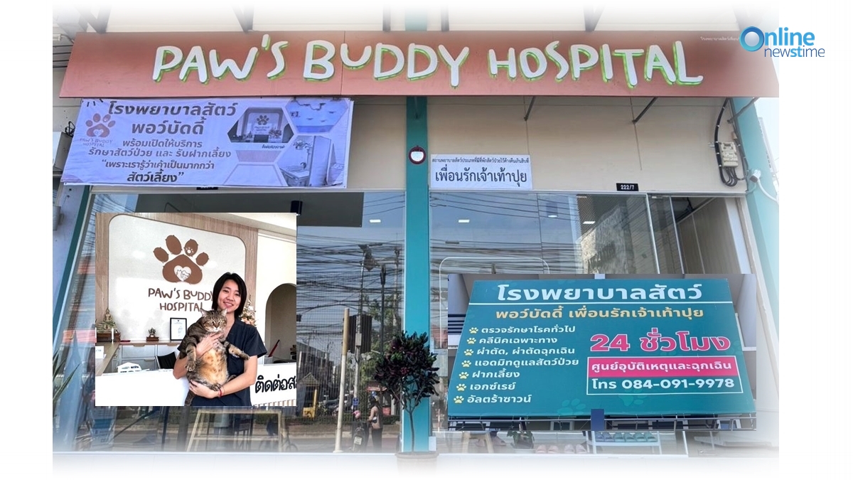 paw s buddy hospital