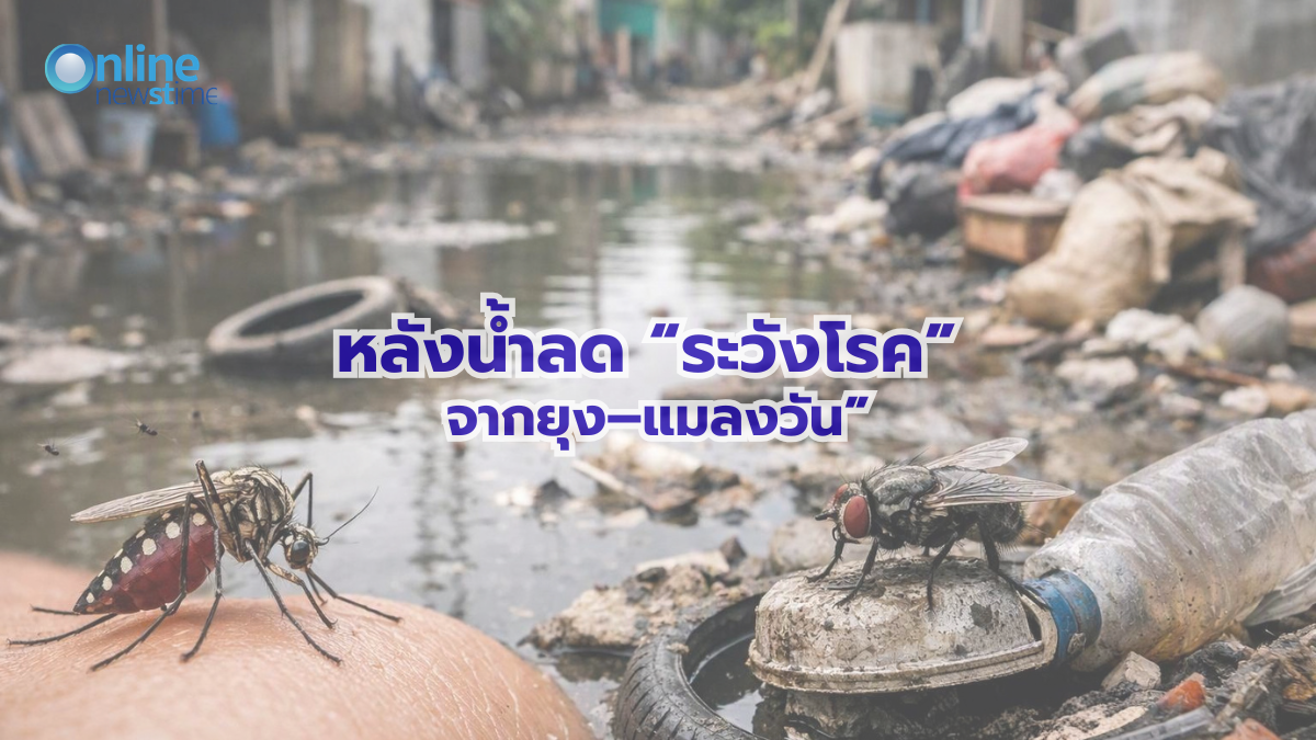 after-flood-health-mosquito-fly-disease